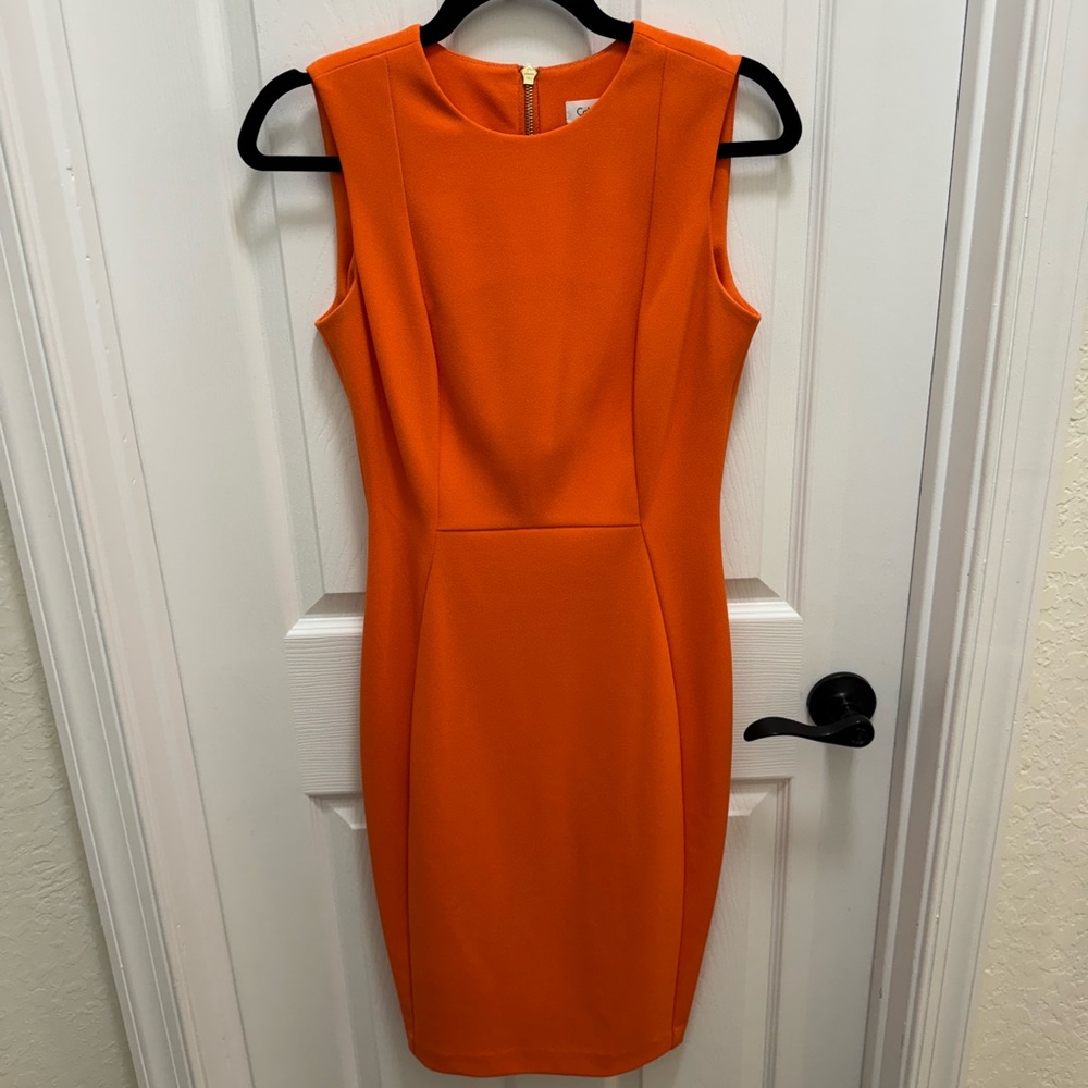 Calvin Klein Dress